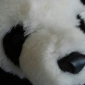 Meet your Posher, Britney