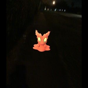 Meet your Posher, Robert