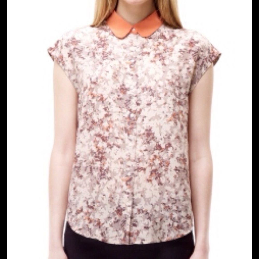 Club Monaco Denni  Silk Blouse