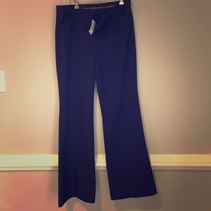 NWT Express Design Studio Editor pants