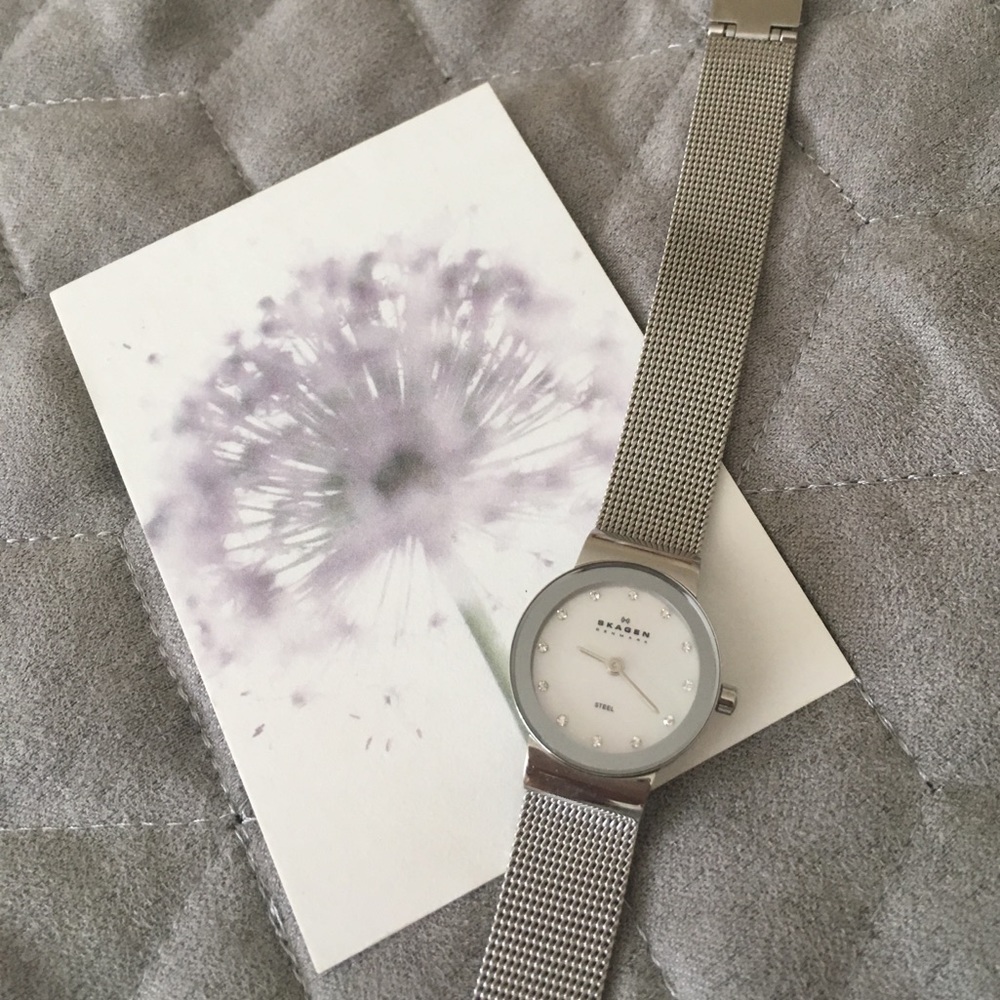 Silver Skagen Watch