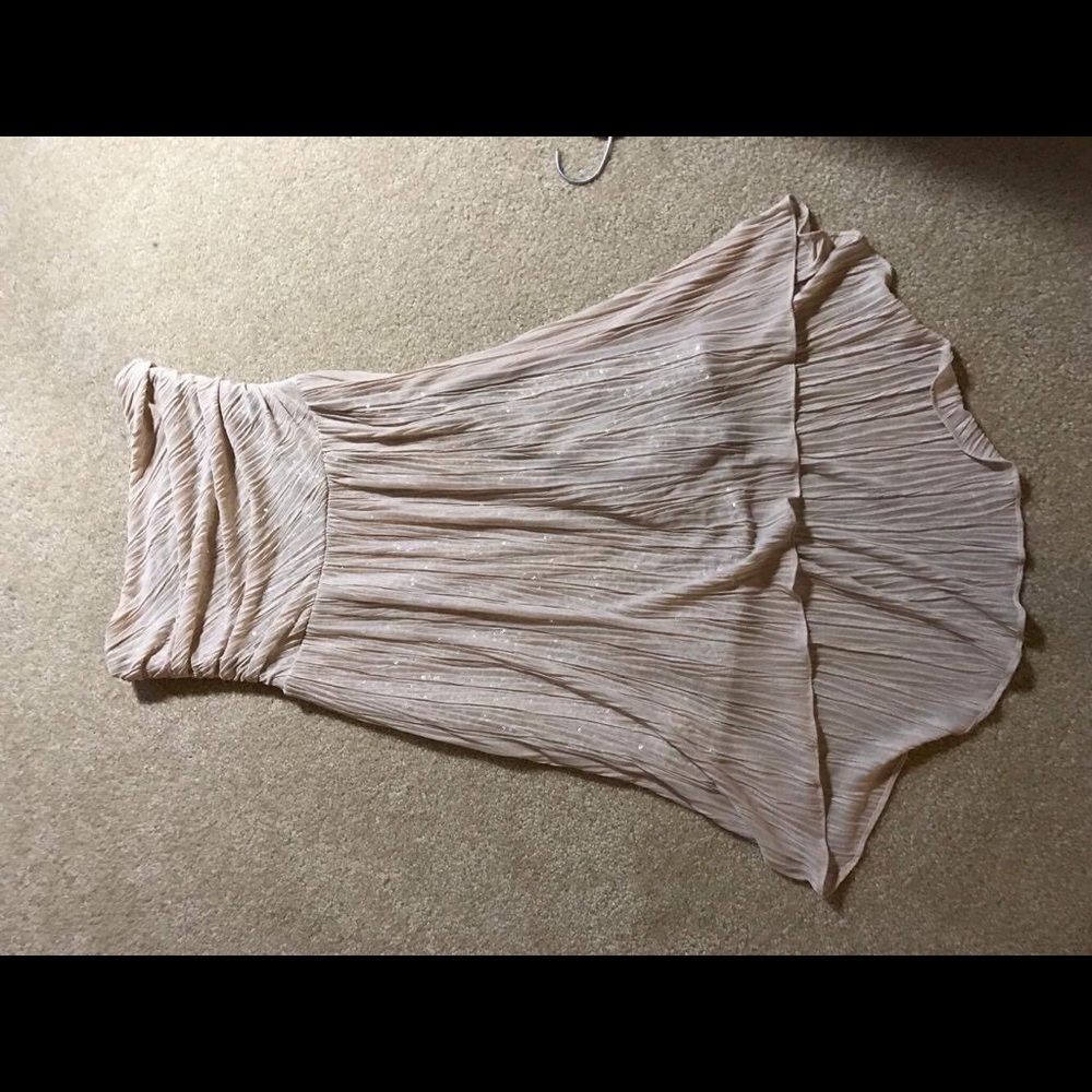 Gold Express Sequin Dress 