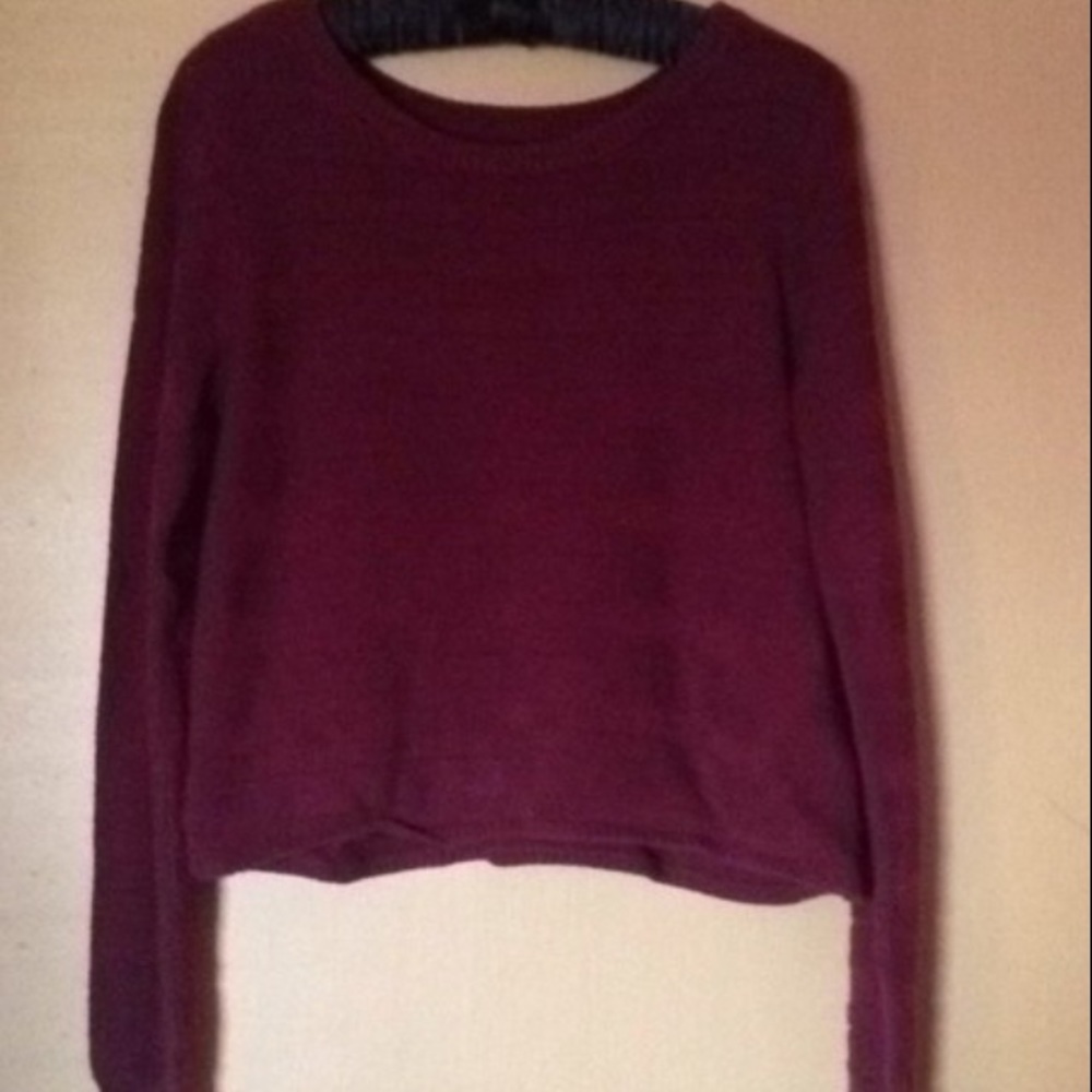 Maroon Crop-Top Sweater