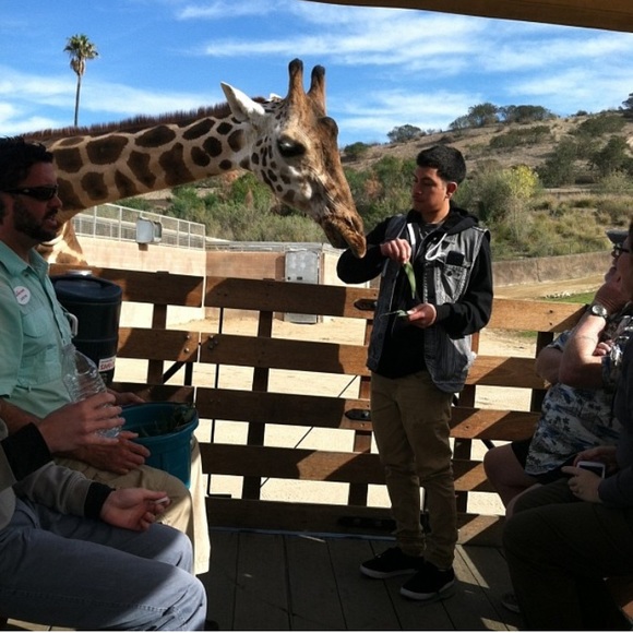 Meet your Posher, Juan (: - Picture 4 of 4