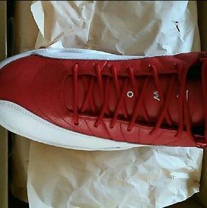Jordan retro 12