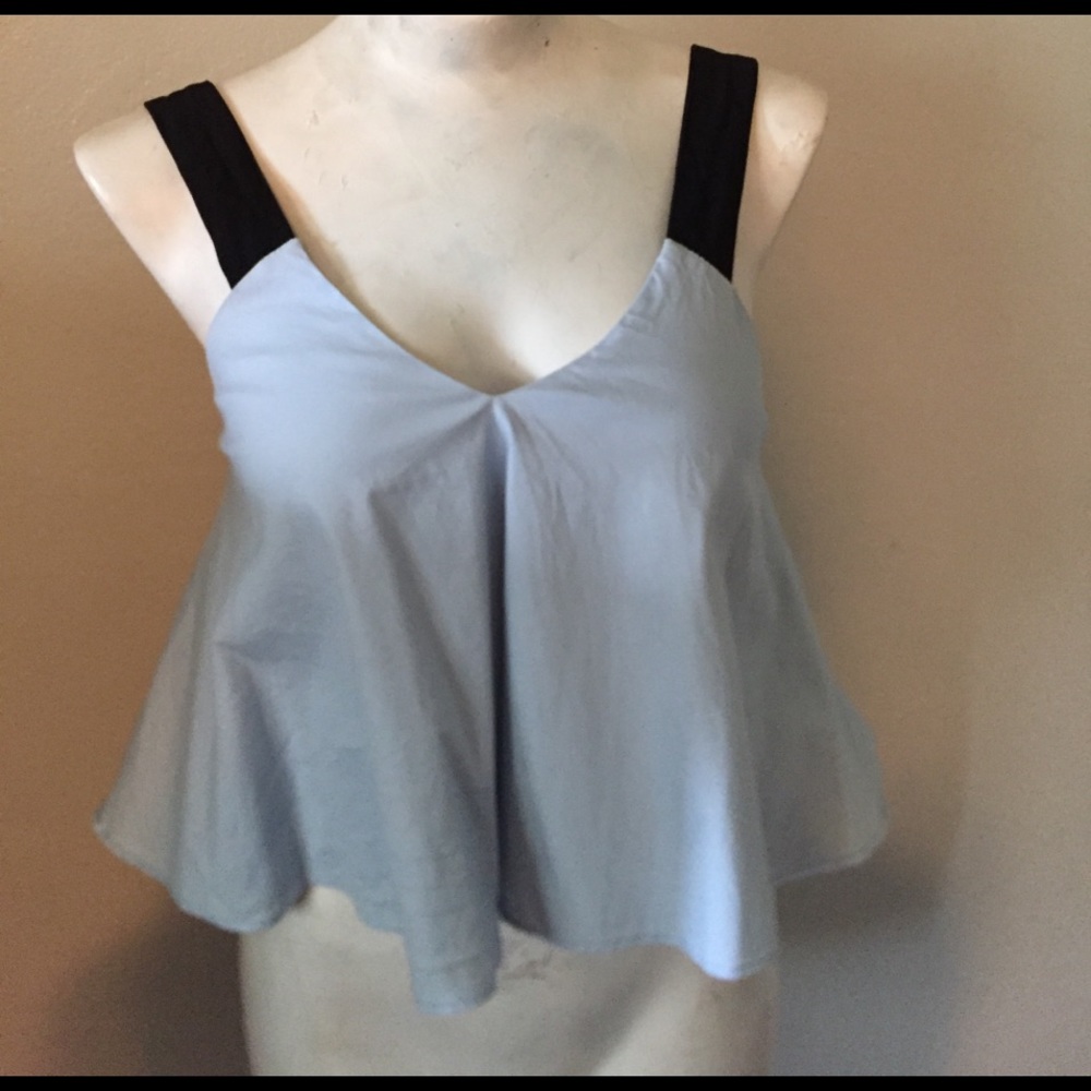 Zara crop top