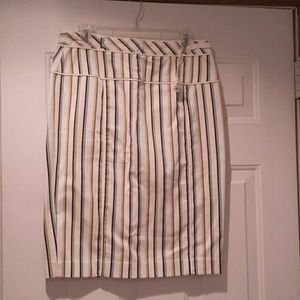 Express Pencil Skirt