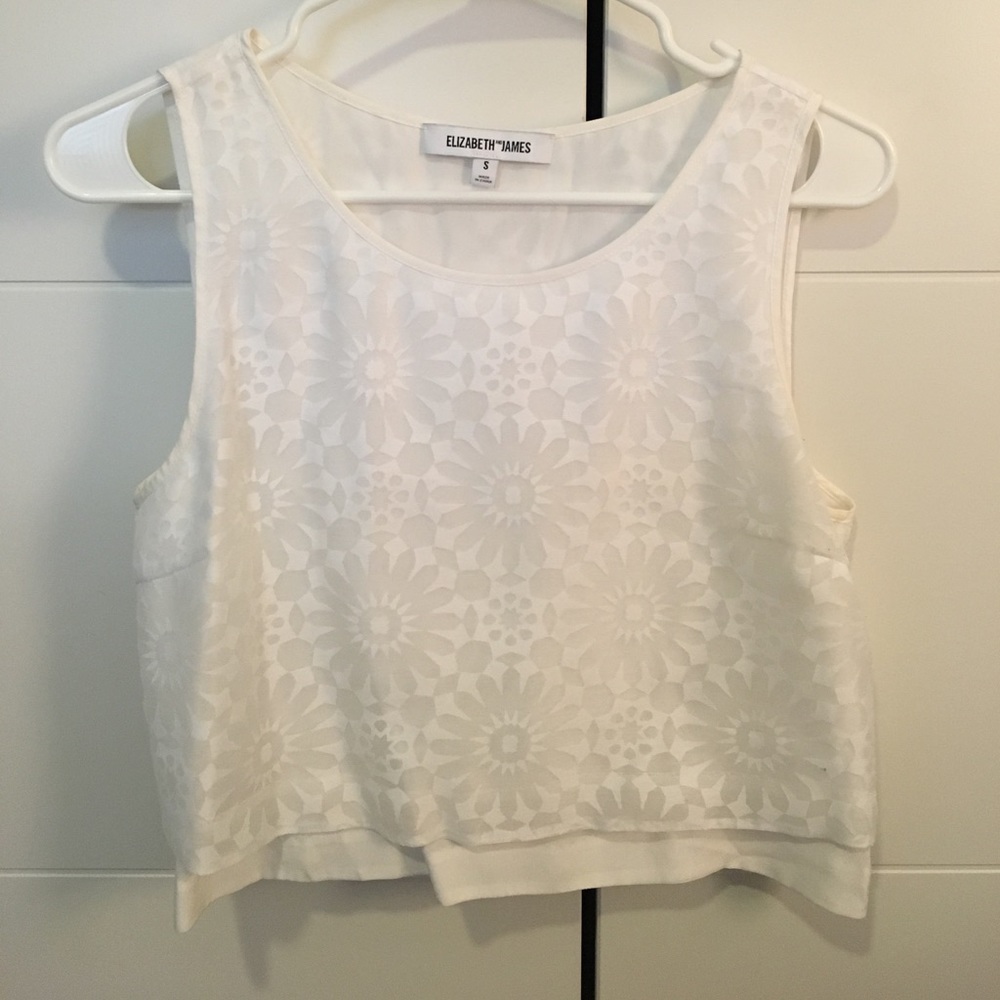 Moroccan print white Elizabeth and James crop top