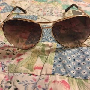 Fossil aviators