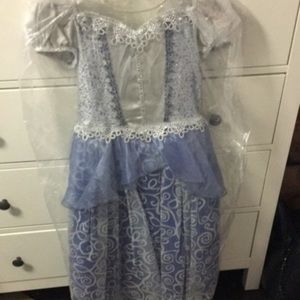 Cinderella dress
