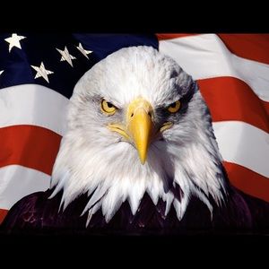 Meet your Posher, Todd