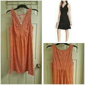 NEW LOFT Ann Taylor Flare Dress