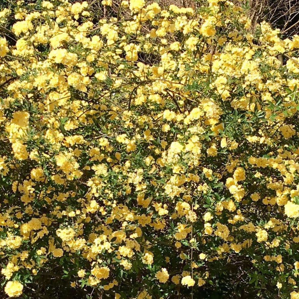 Meet your Posher, Tracy johns