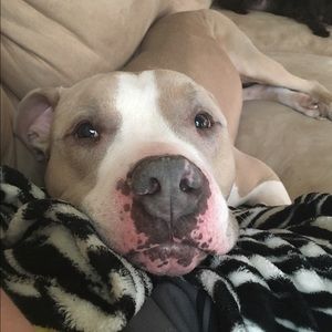 Meet your Posher, Mandy