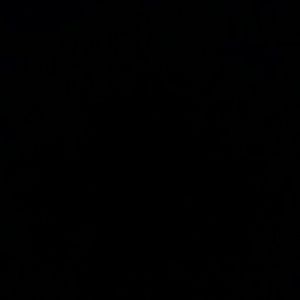 Meet your Posher, Austyn