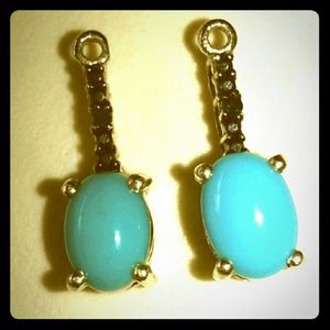 Sleeping beauty turquoise earrings