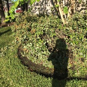 Meet your Posher, Danitza