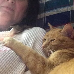 Meet your Posher, Karynn