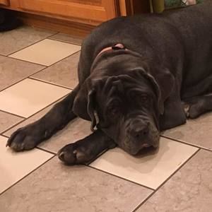 Meet your Posher, Pamela