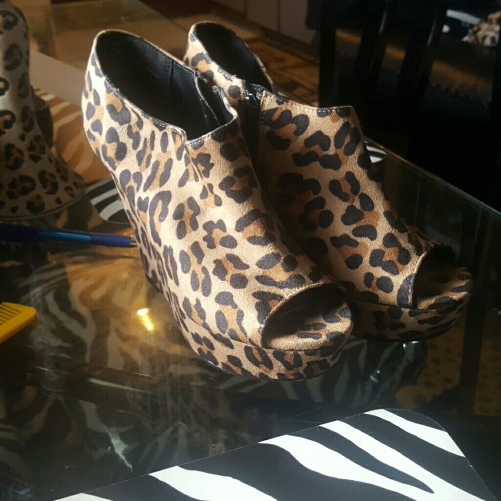 Leopard