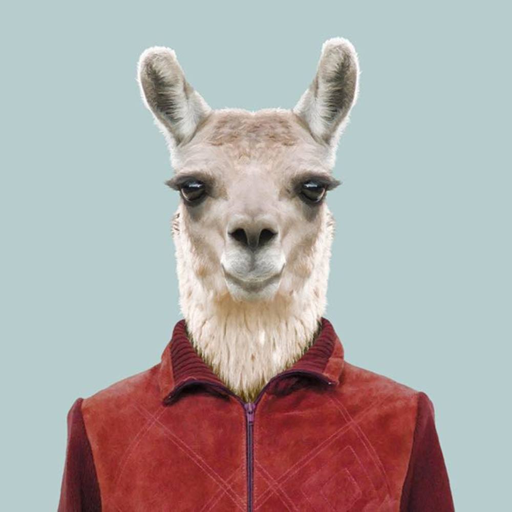 Meet your Posher, Lynn