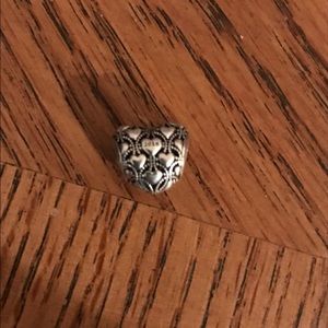 Pandora charm