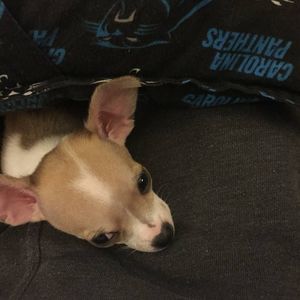 Meet your Posher, Tammy