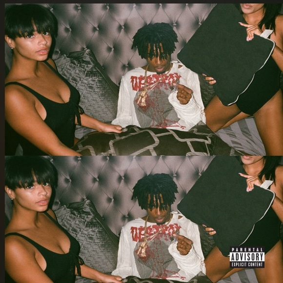 Meet your Posher, Logan - Picture 2 of 2