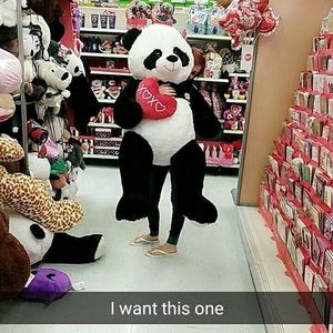 Meet your Posher, Angel