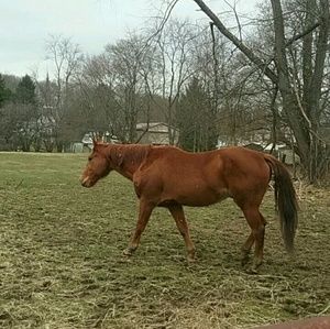 Meet your Posher, Madison