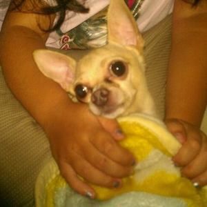 Meet your Posher, Eileen