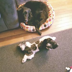 Meet your Posher, Maria