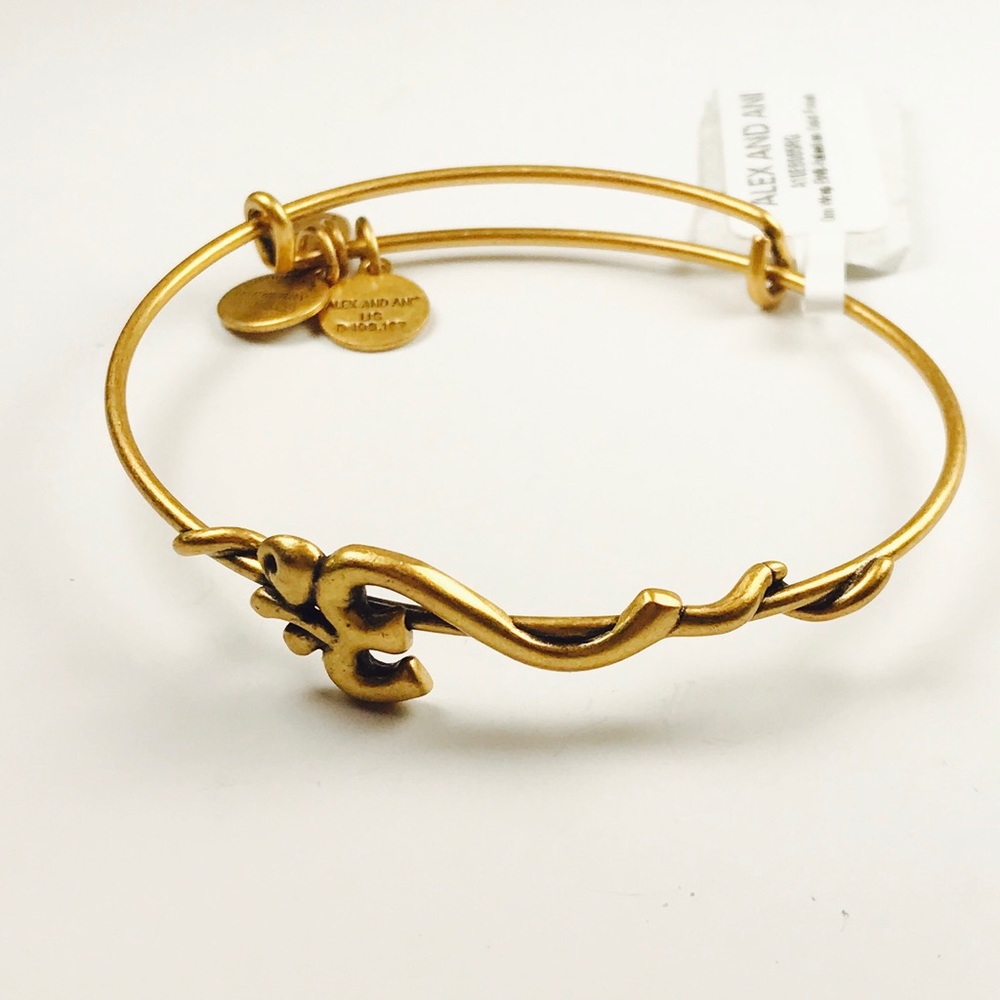 Alex and Ani Gold Bangle