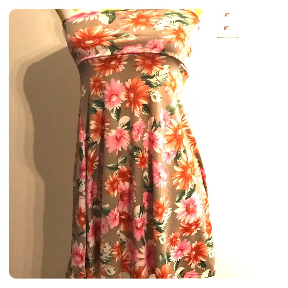 Lularoe Azure Skirt