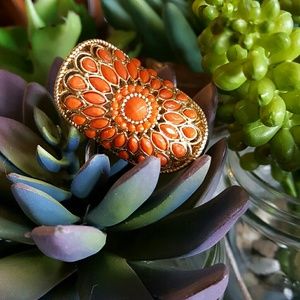 BRAND NEW!  Lia Sophia Persimmon Statement Ring