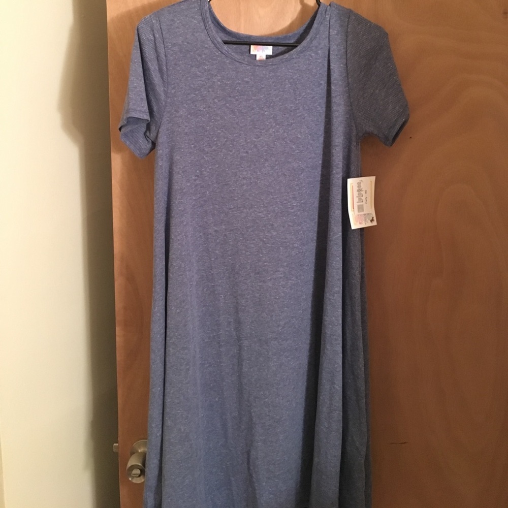 BNWT LuLaRoe XS Carly dress