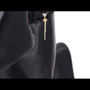 Earrings.  Never worn before.