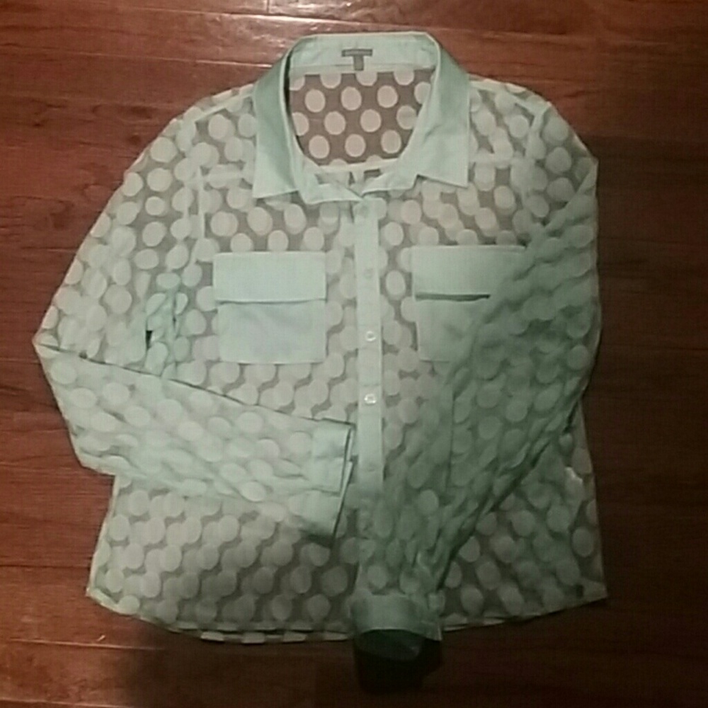 Long sleeve sheer top