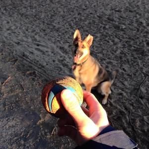 Meet your Posher, Christopher