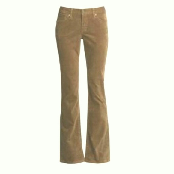 Light Brown Curvy Fit Flare Cords - Picture 3 of 4