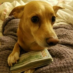 Meet your Posher, Nicolas