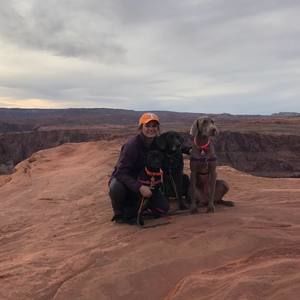 Meet your Posher, Hope