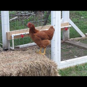 Meet your Posher, Sandra