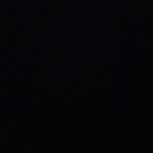 Meet your Posher, Peyton