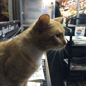 Meet your Posher, Jeffrey