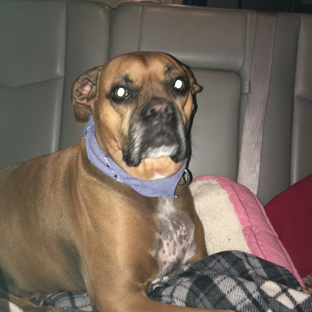 Meet your Posher, Teresa