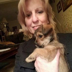 Meet your Posher, Luann