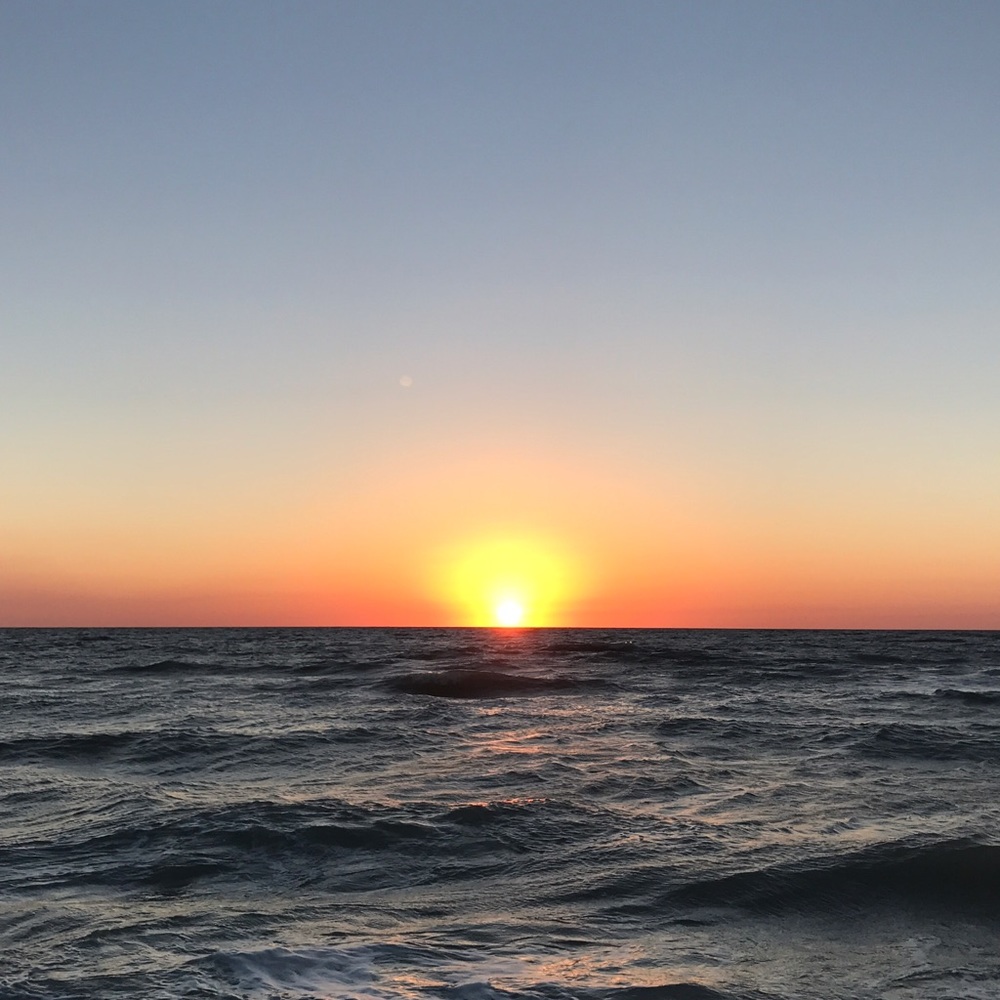 Meet your Posher, Ally