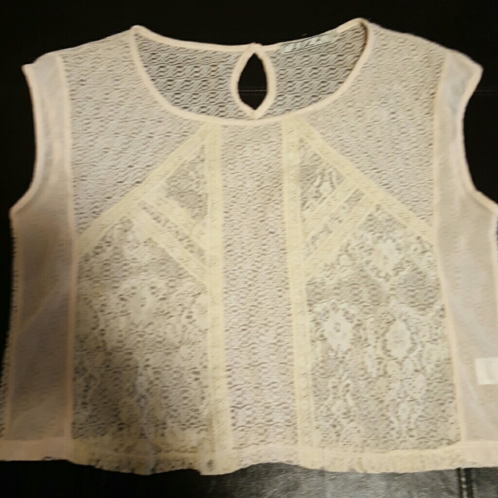 Chloe K Cropped Lace Top L