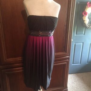 NWOTs Sequin Hearts Strapless Ombré Dress
